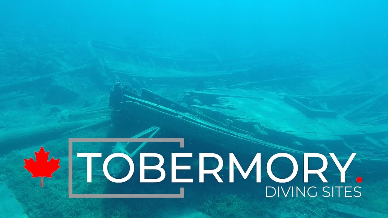 Tobermory diving sites, Ontario - YouTube
