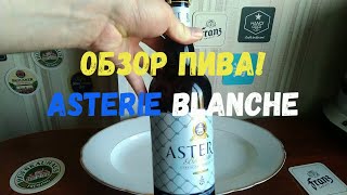 Обзор вкуснейшего бельгийского пива Asterie Blanche от канала С Миру По Пиву!