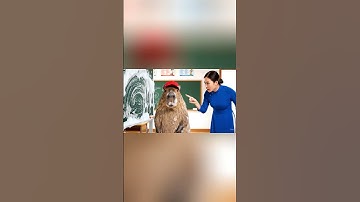 Capy giúp cô lau bảng và cái kết #capybara