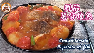 鮮茄薯仔炆魚|甜甜酸酸好開胃|大大碟好豐富|Braised tomato & potato w/ fish