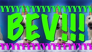 Happy Birthday Bev - Epic Happy Birthday Song