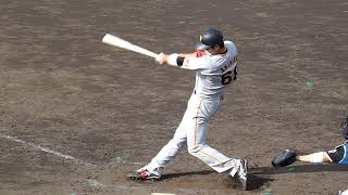 【次世代の大砲?!】巨人･秋広優人選手の打撃フォーム[本塁打]