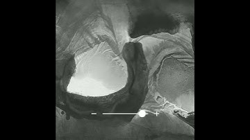 Ways to view an artwork on Artsy (Part 1)