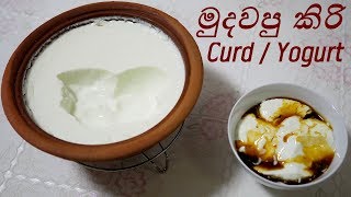 Download lagu Homemade Curd - Yogurt මුදවපු කිරි පිරිසිදුවට ගෙදරදීම - Episode 145