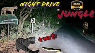 Tiger Alarm Call | Night Drive in Jungle | Civet Eating Snake #tiger #jim #corbett #snake #python