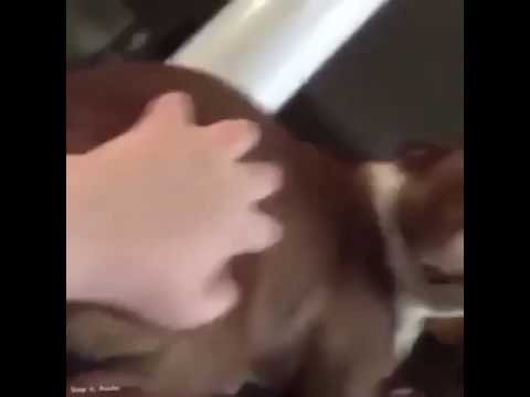 law and order vine youtube hqdefault law and order vine youtube