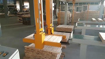 TRSI AP Ø550 - Push feed automatic cross-cut-saw_unloader/stacker in italy -Cursal_woodworking_257