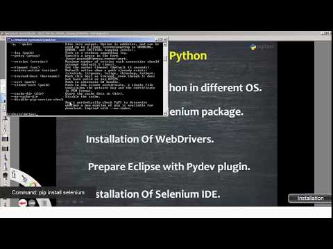 Python pip and selenium installation