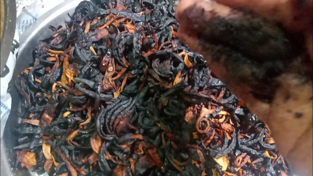 Gavakdil Raste chatni ka masala। Gavakdil Sofi Padd गावाकडची काळा इसुर - YouTube
