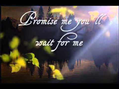 Promise Me by Beverly Craven
