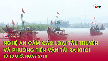 Nghệ An cấm các loại tàu thuyền và phương tiện vận tải ra khơi từ 10 giờ, ngày 5/10