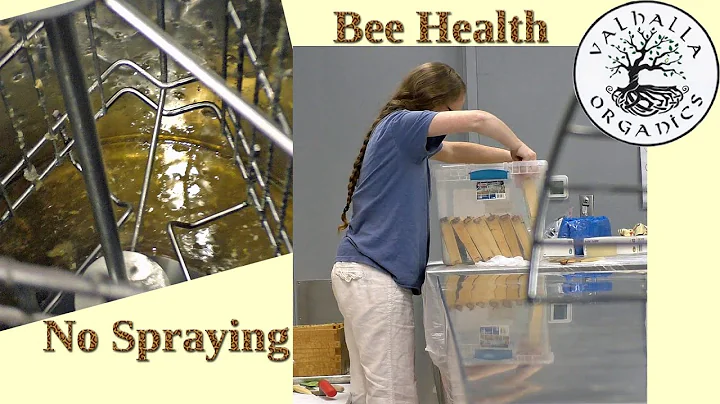 RUBY REID - Valhalla Organics - On bee health in t...