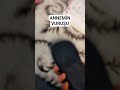 aaaaaaaa