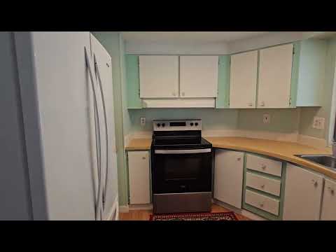 2/2 Large Lanai 407 Summerhill Dr, Valrico, FL home video tour