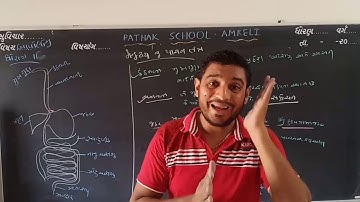 11 Science | Biology | Basic Concept | Lecture 3 | Pathak School Amreli