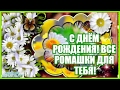 С ДНЁМ РОЖДЕНИЯ! ВСЕ РОМАШКИ ДЛЯ ТЕБЯ!