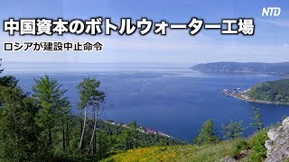 ロシアが中国資本のボトルウォーター工場の建設中止命令【禁聞】|新唐人| ニュース| 一帯一路|中国
