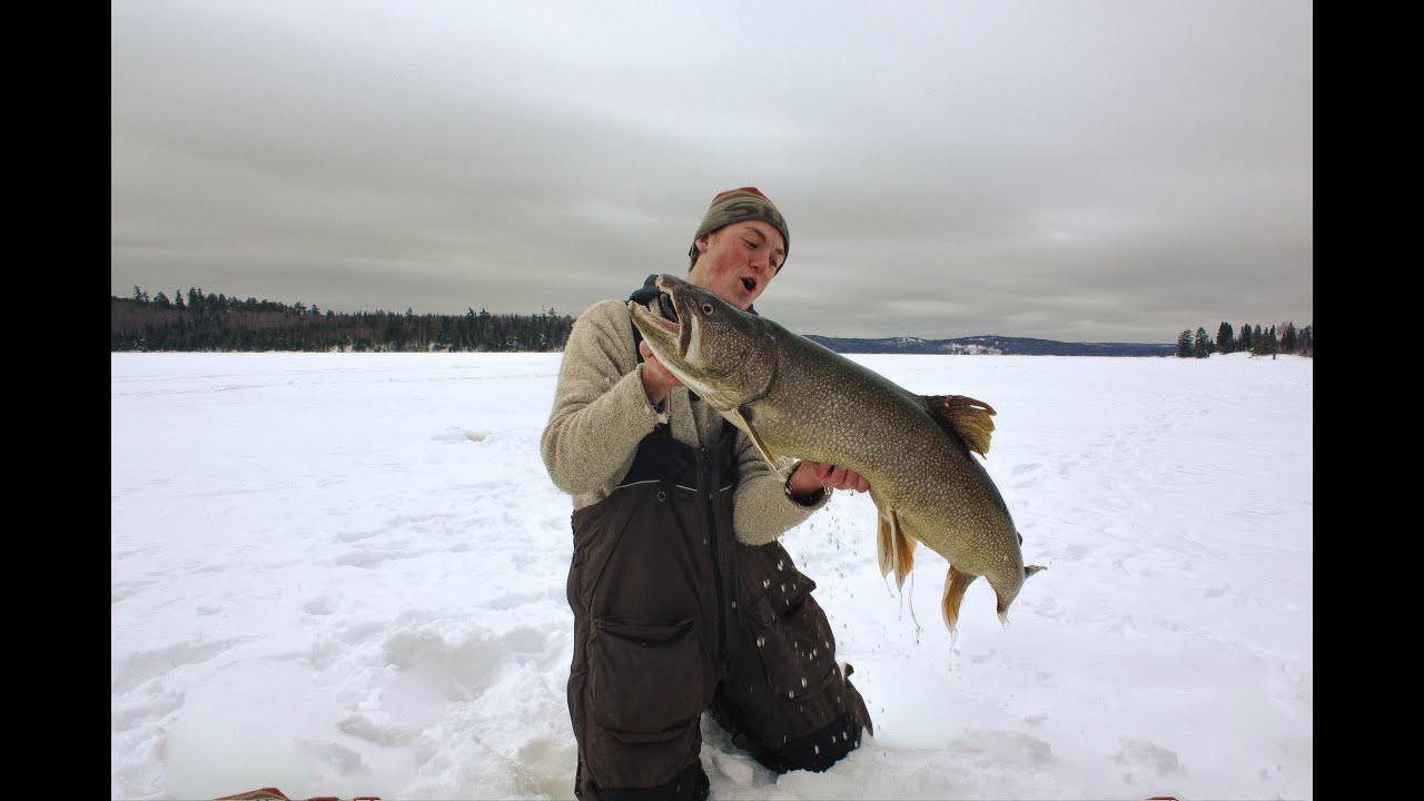 MASSIVE 42" & 36" LAKE TROUT (SNEAK PEAK) KENORA, ONTARIO YouTube