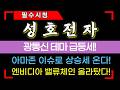 [성호전자 주가전망] 아마존 이슈로 상승세 온다! 엔비디아 벨류체인 올라탔다 #성호전자 #성호전자주가전망 #성호전자주가