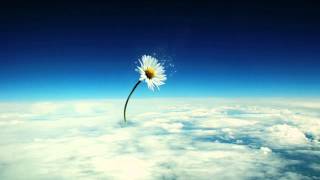 Download Lagu Colour to the Moon - Allan Taylor MP3