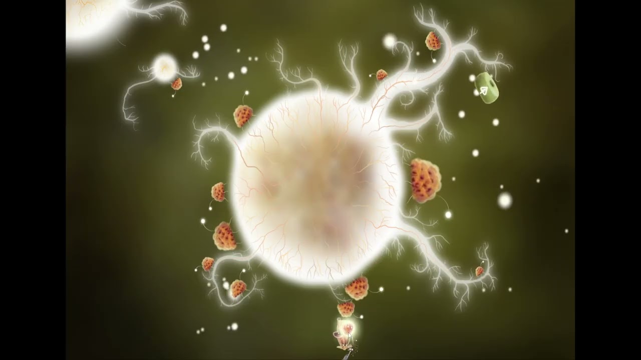 Botanicula  - Part 5 (Ending) - No Commentary