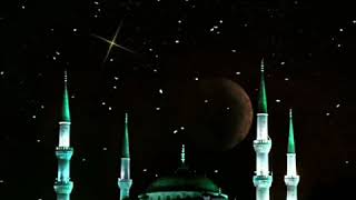 Videolu A Mesajları