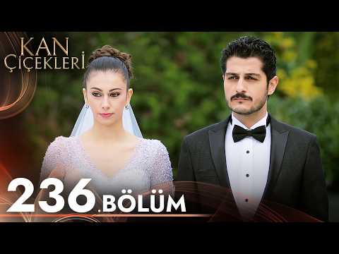 Kan Çiçekleri 236. Bölüm