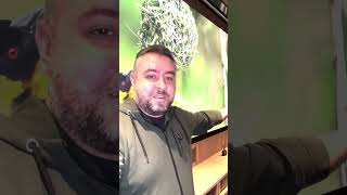 📺 TELEWIZOR ZA PÓŁ MILIONA? | Hisense MicroLED 136MX – 136 cali luksusu! #news #tv  #tech