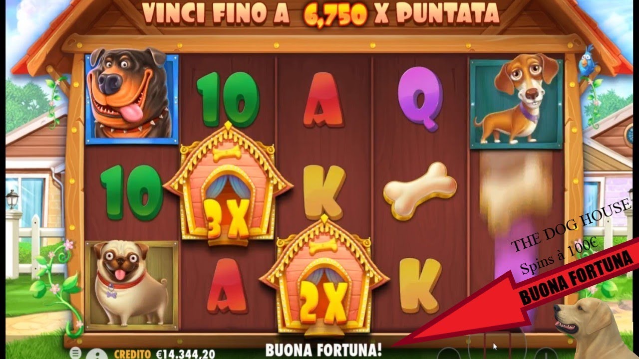 Slot THE DOG HOUSE 🐶🎰 Miser 100€ par Spin 🎰 pour GAGNER gros avec les ...