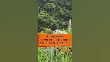 No mask needed — Safe for bees, frogs, and spiders 노마스크, 벌과 개구리, 거미는 안전 #JMP #jadam