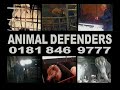 ADI Circus Commercial
