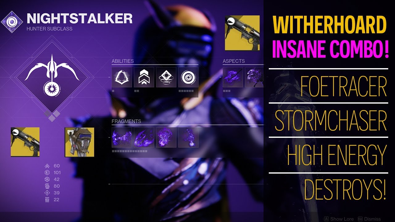 This Witherhoard Combo Wrecks! Void 3.0 Hunter Build Destiny 2