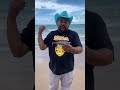 Tiburon en la isla del padre