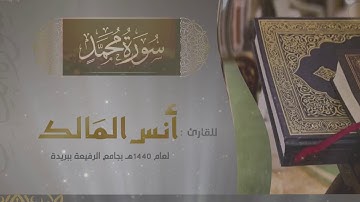 سورة محمد للقارئ أنس المالك في رمضان ١٤٤٠ بجامع الرفيعة ببريدة