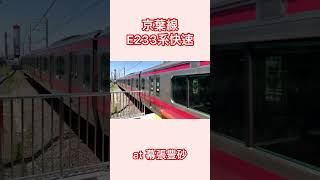 京葉線E233系快速　幕張豊砂駅通過