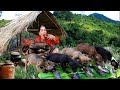 Woman Build bamboo house -Burn fish with pumpkin for food dog -cooking in forest