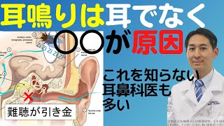 耳鳴りの原因を詳しく解説。耳鼻科医もよく説明できないお話です。