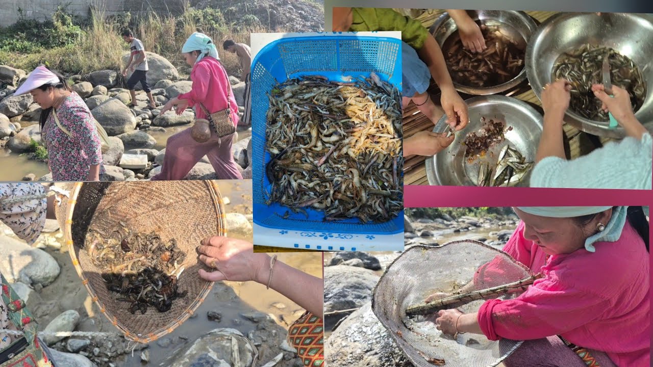 Lobi nadi m machli..😮😮🫢🫢🫢🫢#vlog #riverside #fishingtechniques ##arunachalpradesh #viral #fyp 🫡🫡🥳🥳🥳🥵