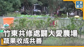 竹東共修處闢大愛農場 蔬果收成共善