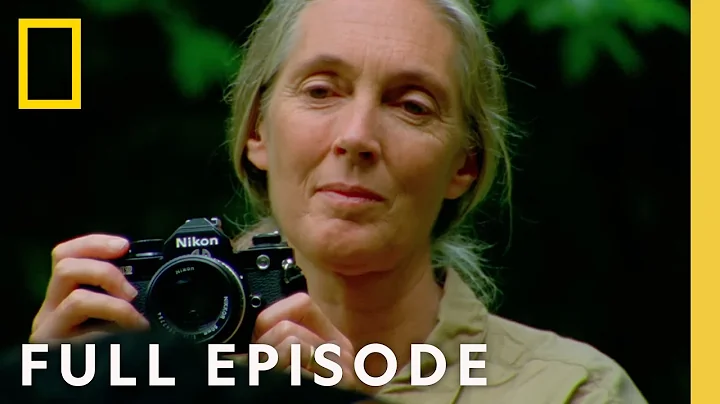 Jane Goodall: An Inside Look (Full Documentary) | National Geographic