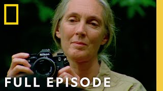 Jane Goodall: An Inside Look (Full Episode) | National Geographic by National Geographic 36,737 views 3 days ago 1 hour, 30 minutes