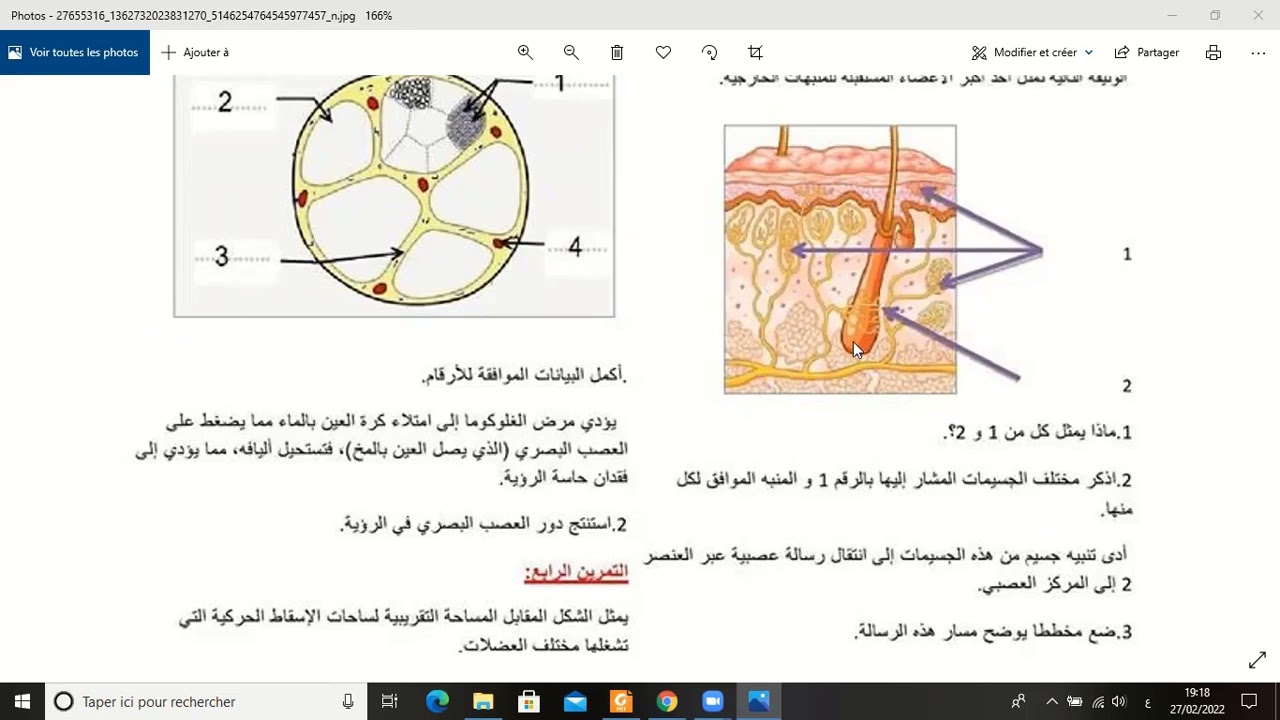 الحصة 01 من تمارين الإتصال العصبي