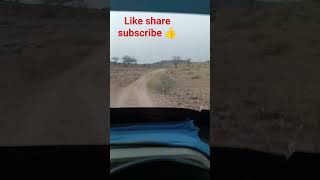 #shortvideo #youtubeshorts #osian like share subscribe jarur karna doston 👍