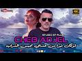 CHEB ADJEL لوكان نبرا من عذابي نحبس الشراب REMIX DJ BA3OUCHA 2026 