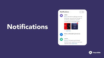 How To Manage Notifications in Heycollab Project Management Tool