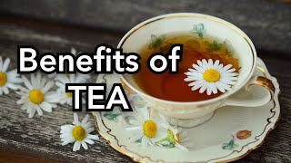 Benefits of Tea | Vitality Wellness