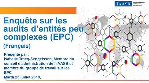 Audits of Less Complex Entities Webinar (French)