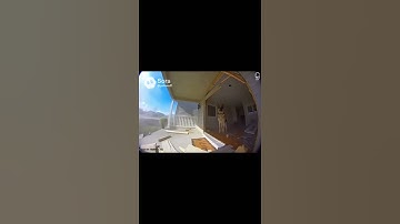 Bro Woke Up and Chose Violence#funny #foryou #memes #sehar #ai #brainrot