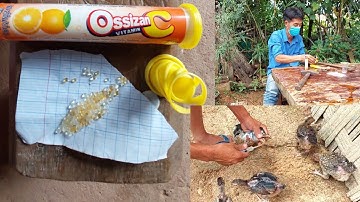 Qhiav Tshuaj Zoo Qaib Tuag aw Qaib Mob Plab Zoo Heev Li Nawb~June 15 . 2022