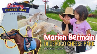 Jalan Jalan | Cimory Cepogo Cheese Park Boyolali | Kasih Makan Hewan | Destinasi Liburan Seru
